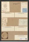 Actinocyclus moniliformis Ralfs. (de-Toni-Nr.: Genus 195, Species 4780) Zeichnungen Sammlung Grunow Nr. 8421 (NHMW-BOT-W0377866)